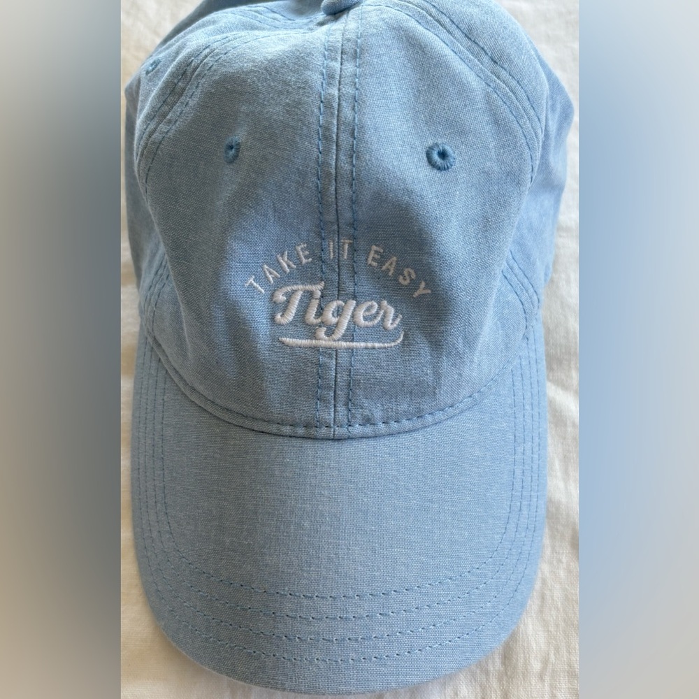Aerie "Take It Easy Tiger" Graphic Baseball Hat